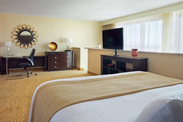 Tampa Airport Marriott image 18